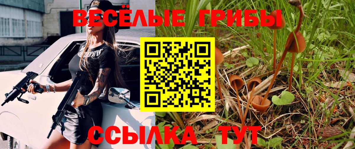 Псилоцибиновые грибы Psilocybine cubensis  Вход с VPN  Северобайкальск 