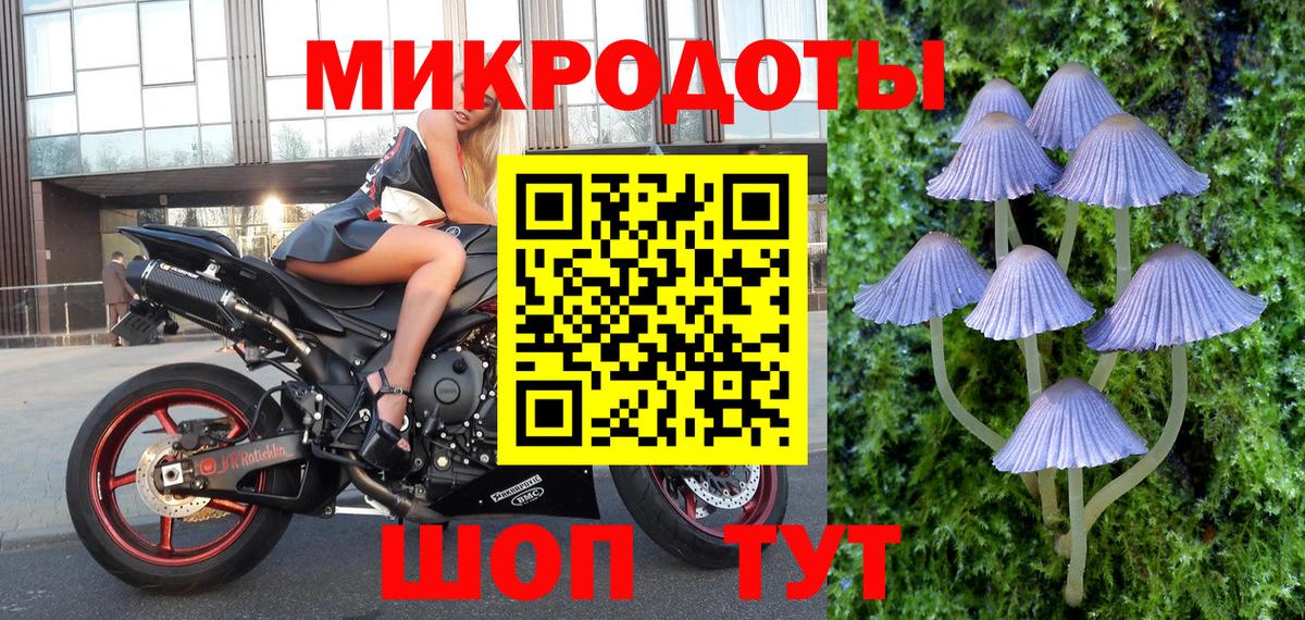 Псилоцибиновые грибы мухоморы Северобайкальск